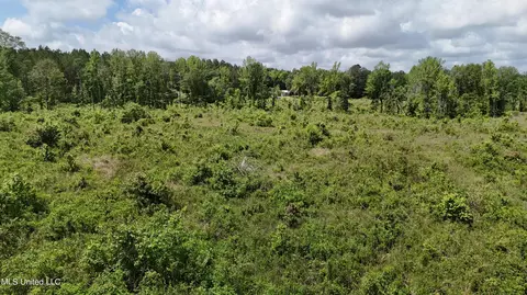 Harrison Road, Forest, MS 39074 photo 30