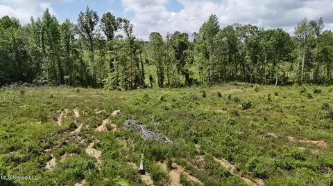 Harrison Road, Forest, MS 39074 photo 28