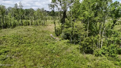 Harrison Road, Forest, MS 39074 photo 24