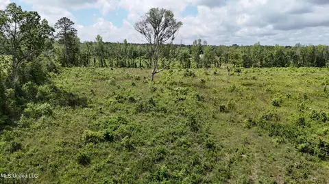 Harrison Road, Forest, MS 39074 photo 19