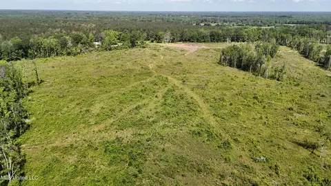 Harrison Road, Forest, MS 39074 photo 8