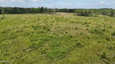 Harrison Road, Forest, MS 39074 photo 17