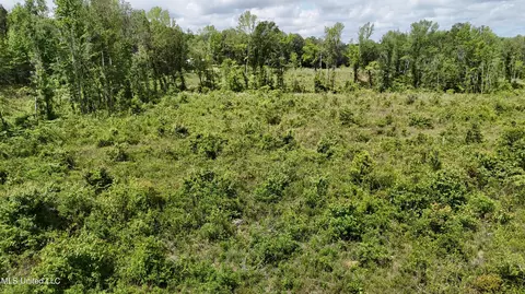 Harrison Road, Forest, MS 39074 photo 12