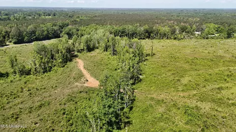 Harrison Road, Forest, MS 39074 photo 9