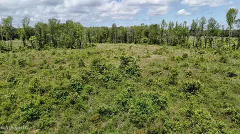 Harrison Road, Forest, MS 39074 photo 13