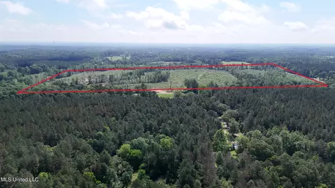 Harrison Road, Forest, MS 39074 photo 32