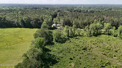 Harrison Road, Forest, MS 39074 photo 11
