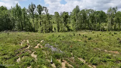 Harrison Road, Forest, MS 39074 photo 28