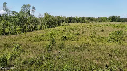 Harrison Road, Forest, MS 39074 photo 6