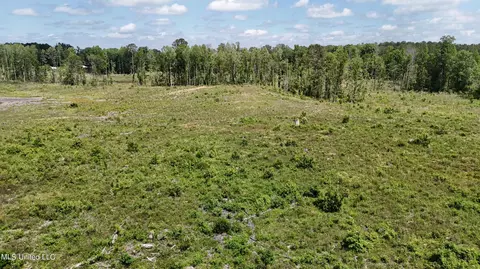 Harrison Road, Forest, MS 39074 photo 26