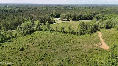 Harrison Road, Forest, MS 39074 photo 10