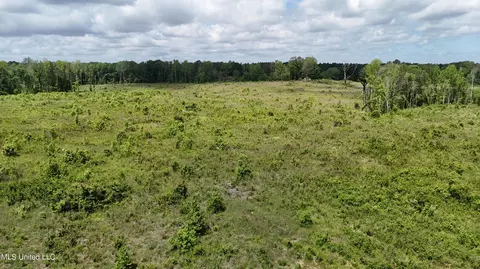 Harrison Road, Forest, MS 39074 photo 20