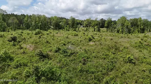 Harrison Road, Forest, MS 39074 photo 30