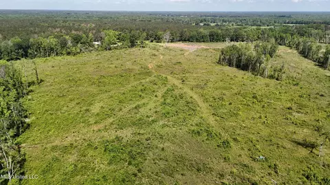 Harrison Road, Forest, MS 39074 photo 8