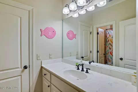 Bath - 620 Highleadon Pl, Madison, MS 39110 photo 2 of 5