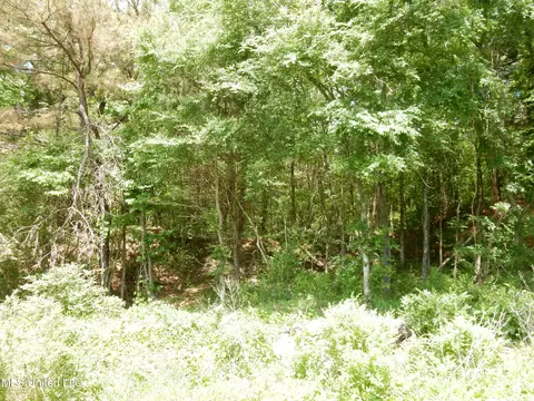 lot3 Looxahoma Tyro Rd, Senatobia, MS 38668