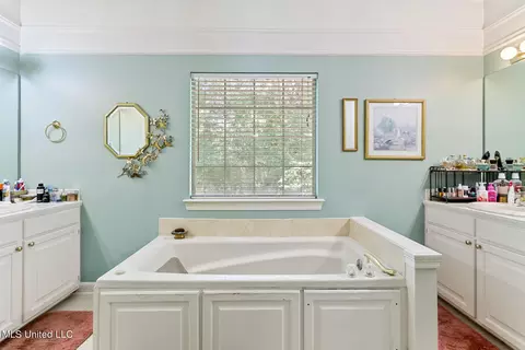 Bath - 105 Sawgrass Cv, Canton, MS 39046 photo 3 of 5