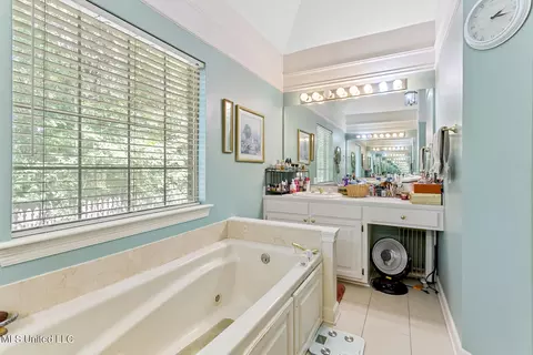 Bath - 105 Sawgrass Cv, Canton, MS 39046 photo 5 of 5
