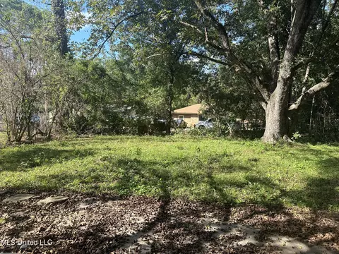 Exterior - 243 Queen Anne Ln, Jackson, MS 39209 photo 3 of 5