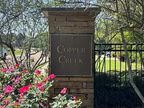 230 Copper Creek Drive Dr, Clinton, MS 39056 photo 8