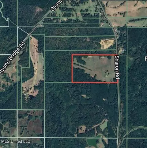 2163 Sharon Rd, Canton, MS 39046 photo 6