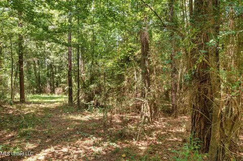 Other - 220 Center Ave, Sumrall, MS 39482 photo 9 of 11