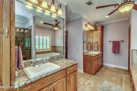 Bath - 269 Williams Dr, Florence, MS 39073 photo 5 of 10