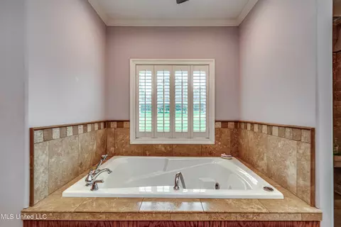 Bath - 269 Williams Dr, Florence, MS 39073 photo 3 of 10
