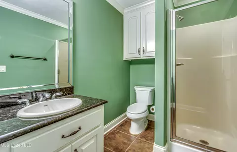 Bath - 269 Williams Dr, Florence, MS 39073 photo 10 of 10