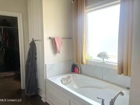 Bath - 133 Coventry Ln, Brandon, MS 39042 photo 3 of 5