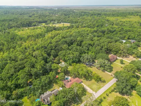 View/Area - 4008 Sentinel Dr, Escatawpa, MS 39552 photo 3 of 5