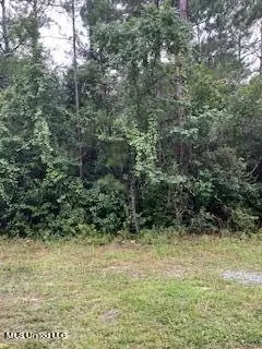Pine, Ocean Springs, MS 39564 photo 3