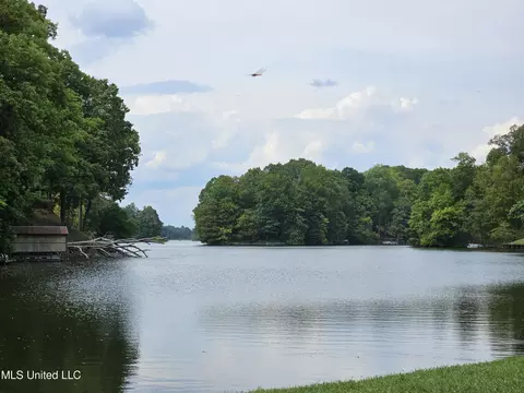 View/Area - 3035 Spruce Cv, Hernando, MS 38632 photo 1 of 1
