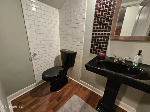 Bath - 3035 Spruce Cv, Hernando, MS 38632 photo 3 of 3