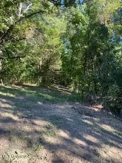 Browns Ferry Road, Sarah, MS 38665 photo 3