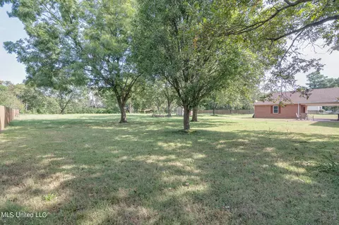4844 Douglas Dr, Olive Branch, MS 38654 photo 42