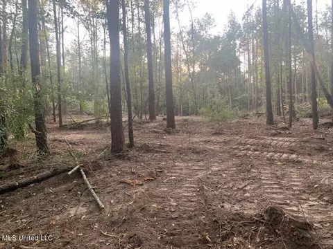 0 Dry Creek Rd, Mendenhall, MS 39114