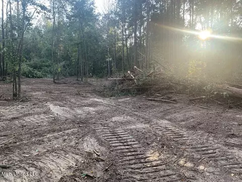 00 Dry Creek Rd, Mendenhall, MS 39114