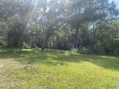 21880 W Wortham Rd, Saucier, MS 39574 photo 3