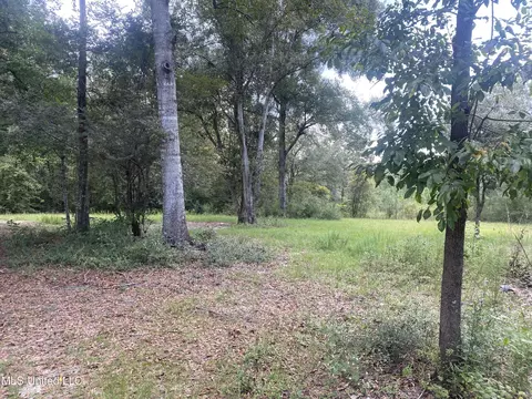 21880 W Wortham Rd, Saucier, MS 39574 photo 2