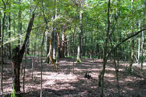 524 Davis Crossing Rd, Canton, MS 39046 photo 16