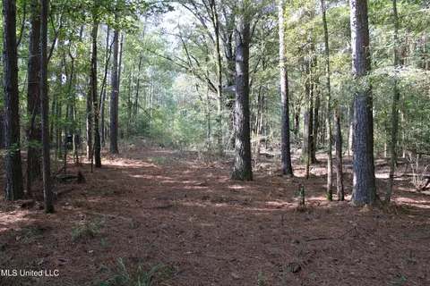 524 Davis Crossing Rd, Canton, MS 39046 photo 2