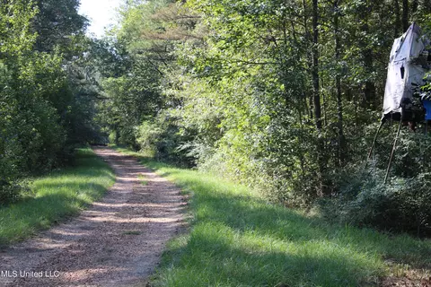 524 Davis Crossing Rd, Canton, MS 39046 photo 22
