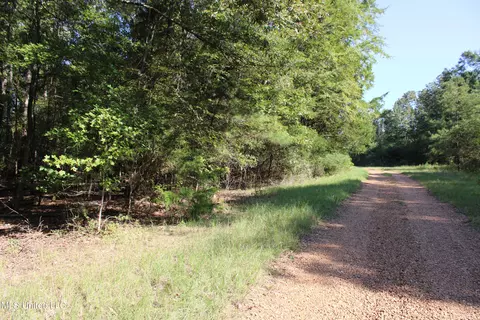 524 Davis Crossing Rd, Canton, MS 39046 photo 20