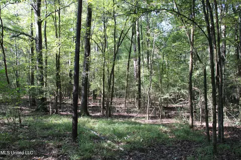 524 Davis Crossing Rd, Canton, MS 39046 photo 18