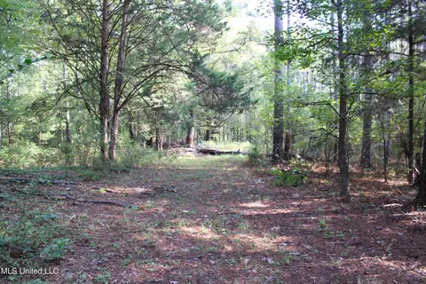 524 Davis Crossing Rd, Canton, MS 39046 photo 3