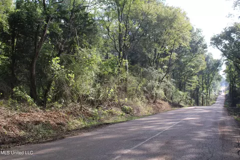 524 Davis Crossing Rd, Canton, MS 39046 photo 7
