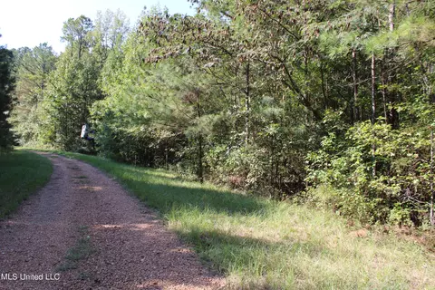 524 Davis Crossing Rd, Canton, MS 39046 photo 19