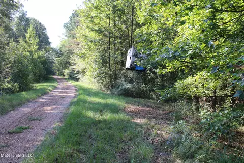524 Davis Crossing Rd, Canton, MS 39046 photo 21