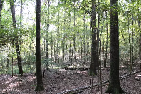 524 Davis Crossing Rd, Canton, MS 39046 photo 12
